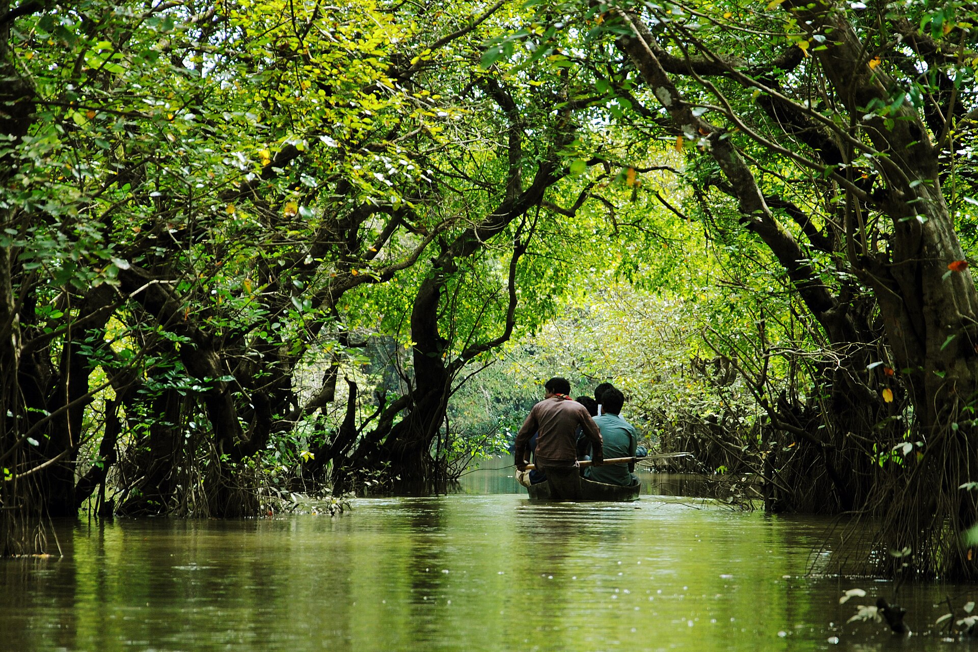 Two people in a small boat moving through the flooded Ratargul swamp forest