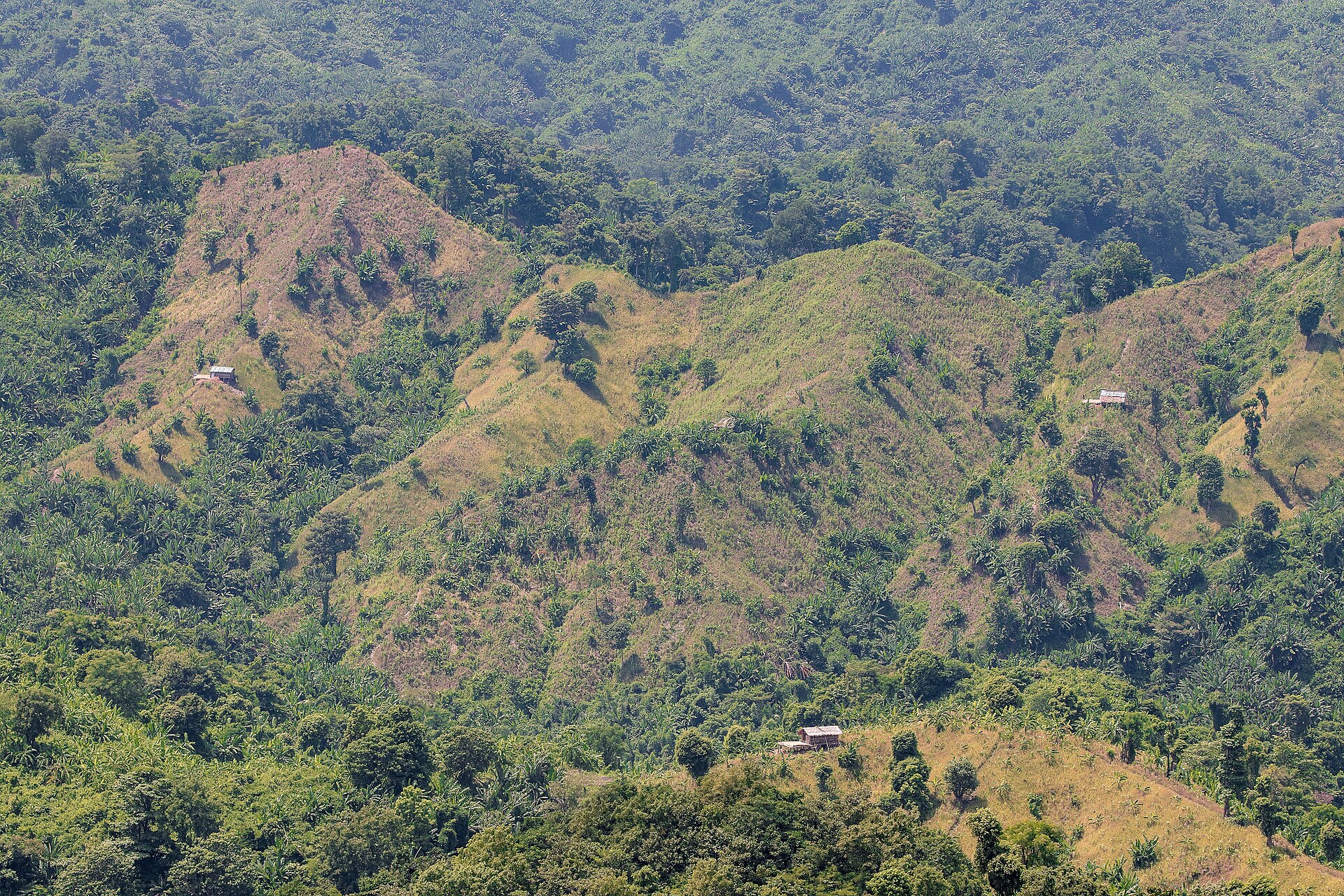 Forested hills with scattered hill-village huts, Bandarban